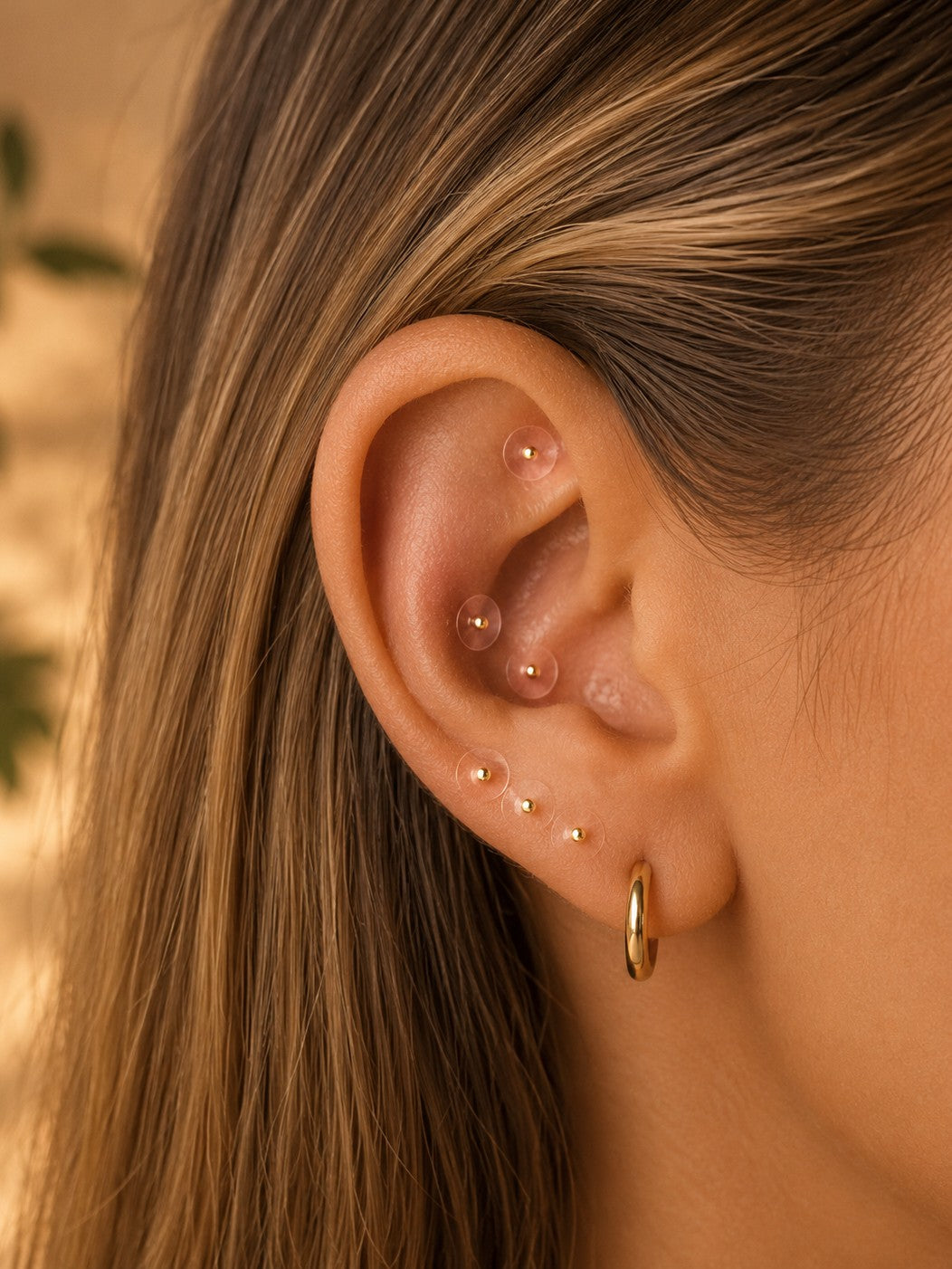 Gold ear seeds applied to the ear