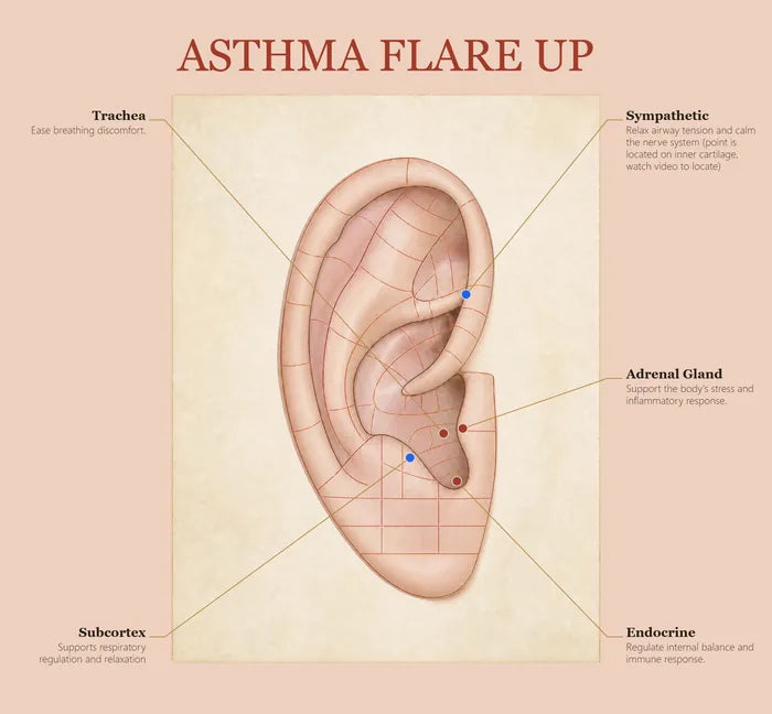 Asthma Flare-Up ear seed map
