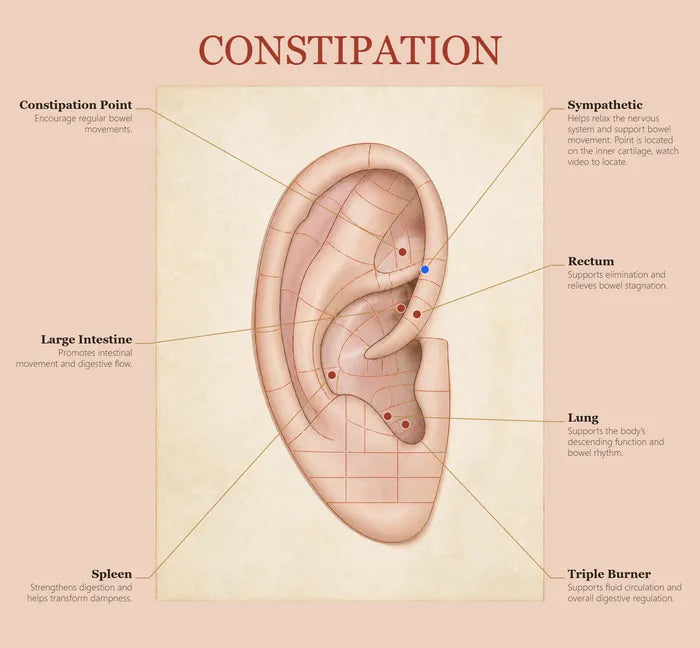 Constipation ear seed map