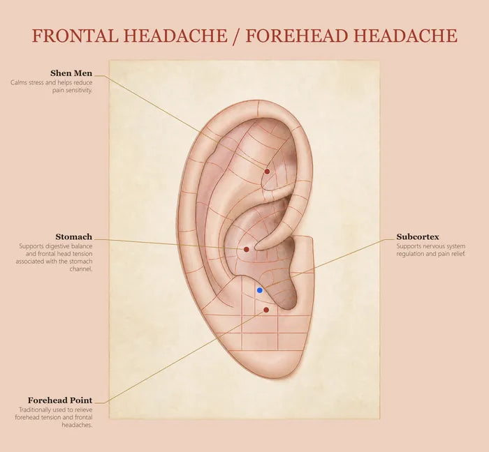 Frontal Headache ear seed map