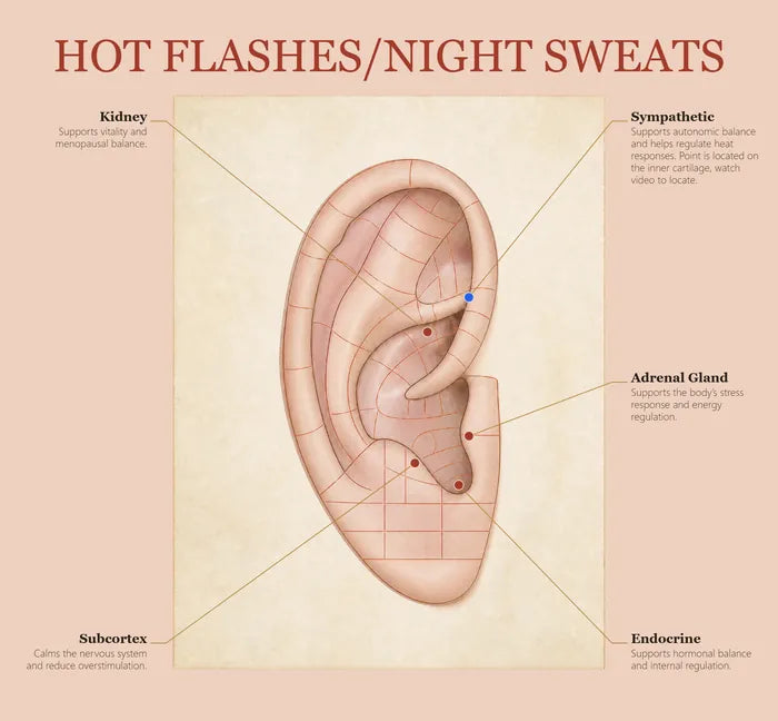 Hot Flashes & Night Sweats ear seed map