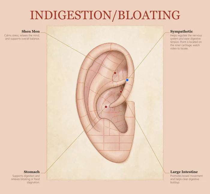 Indigestion & Bloating ear seed map