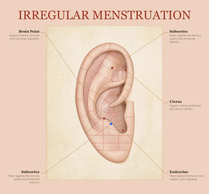 Irregular Menstruation ear seed map