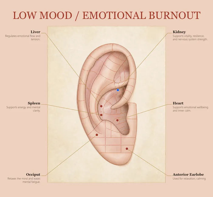 Low Mood & Emotional Burnout ear seed map