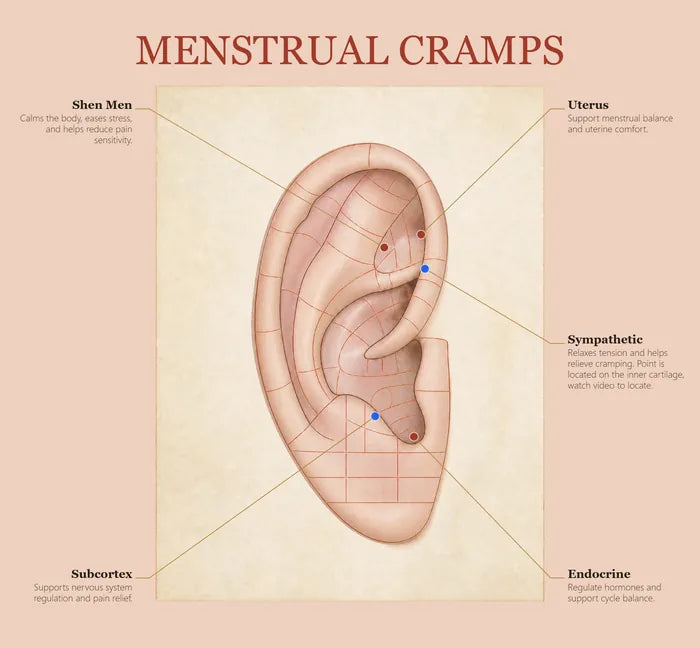 Menstrual Cramps ear seed map