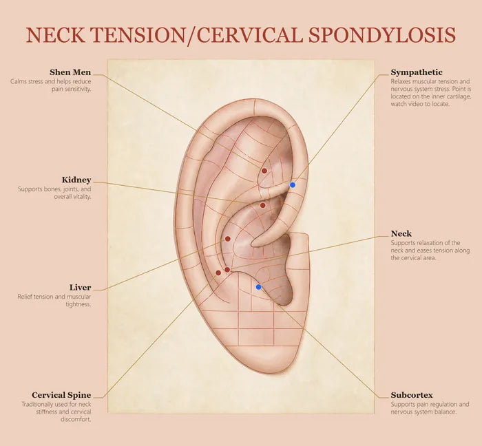 Neck Tension ear seed map