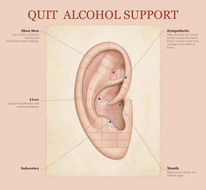 Quit Alcohol Support ear seed map