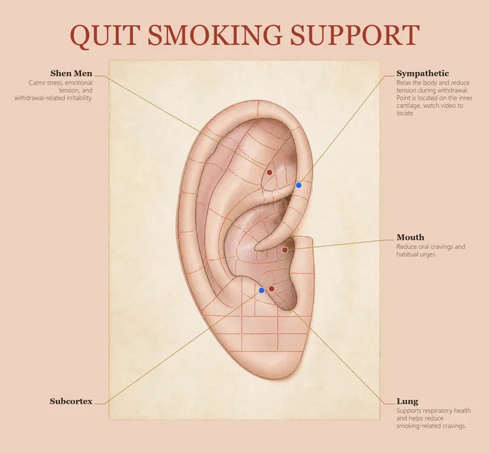 Quit Smoking Support ear seed map