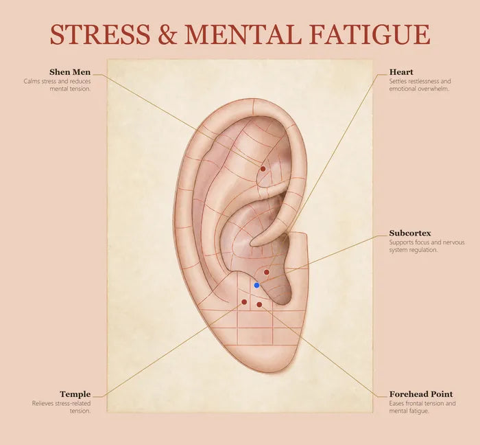 Stress & Mental Fatigue ear seed map