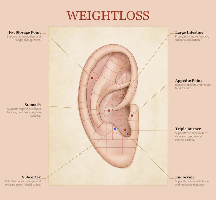 Weight Management ear seed map